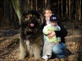 Hodowla owczark�w kaukaskich, kaukazy z Imperial Eriador FCI