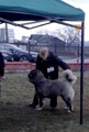 Hodowla owczark�w kaukaskich, kaukazy z Imperial Eriador FCI