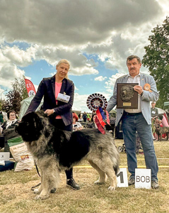 Hodowla owczark�w kaukaskich, kaukazy z Imperial Eriador FCI