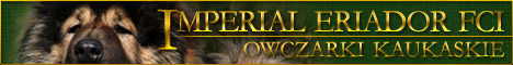 Hodowla owczark�w kaukaskich, kaukazy z Imperial Eriador FCI