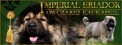 Hodowla owczark�w kaukaskich, kaukazy z Imperial Eriador FCI